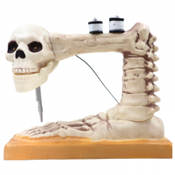 MÁQUINA DE COSER CALAVERA