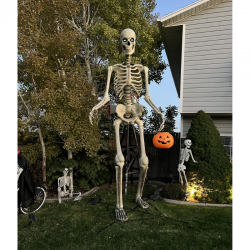 ESQUELETO 2.50MT ELECT...