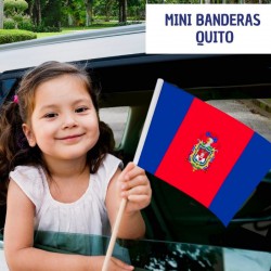 BANDERA PEQUEÑA QUITO XU