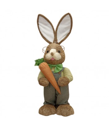 Conejo pascua lentes zanahoria GR