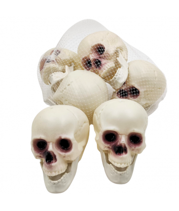 SET CALAVERA PEQ BLANCO X6...